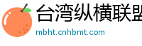 台湾纵横联盟信息官网